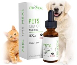 CBD For Pet Health