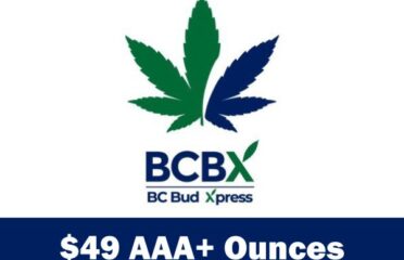 BC Bud Express – BCBX