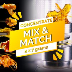 Bulk Shatter Packs: Mix and match One Ounce (4x7 grams) of your Favorite Strains